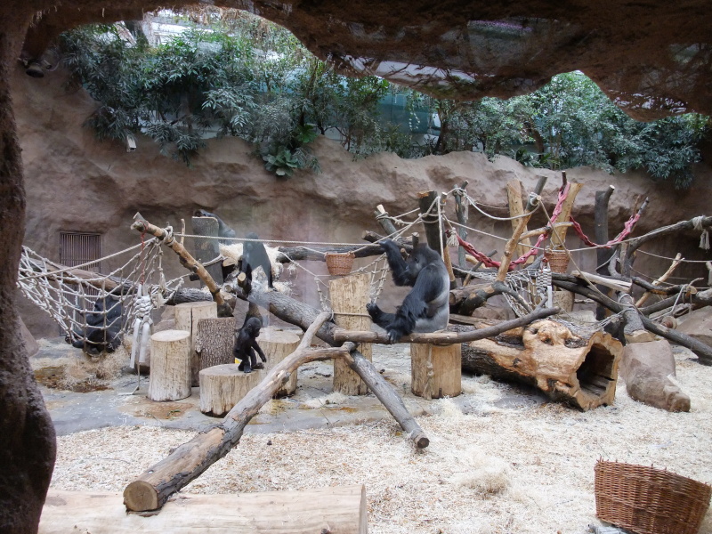 Zoo 3.A 2011 (97).jpg